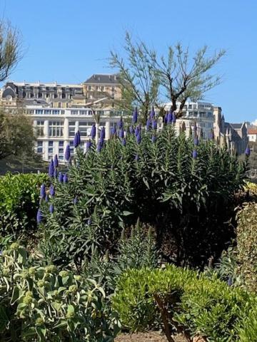 Apartament Waikiki Biarritz Zewnętrze zdjęcie