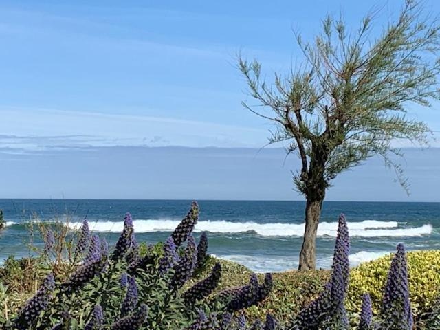 Apartament Waikiki Biarritz Zewnętrze zdjęcie